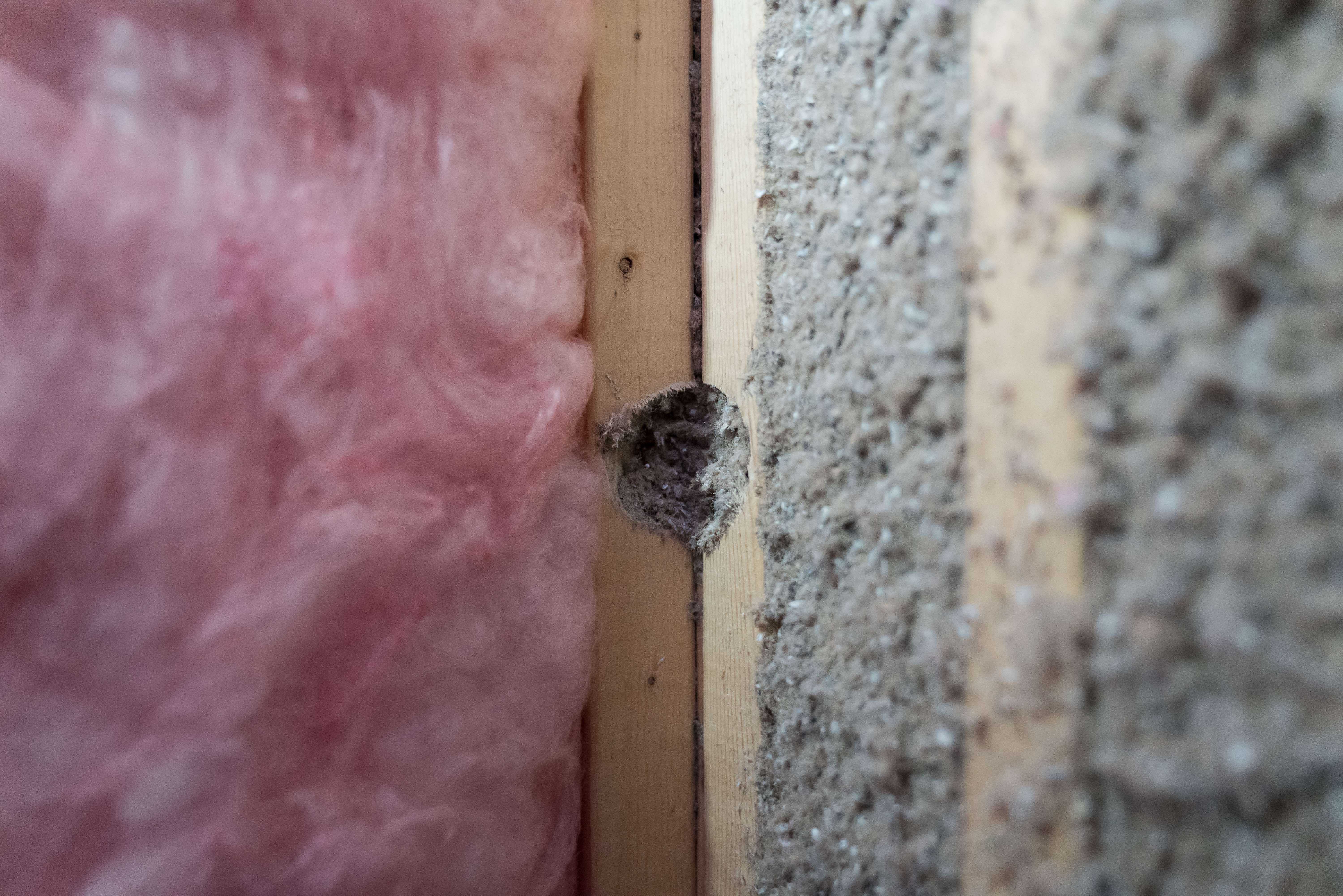 close up of blown cellulose insulation next to fiberglass 